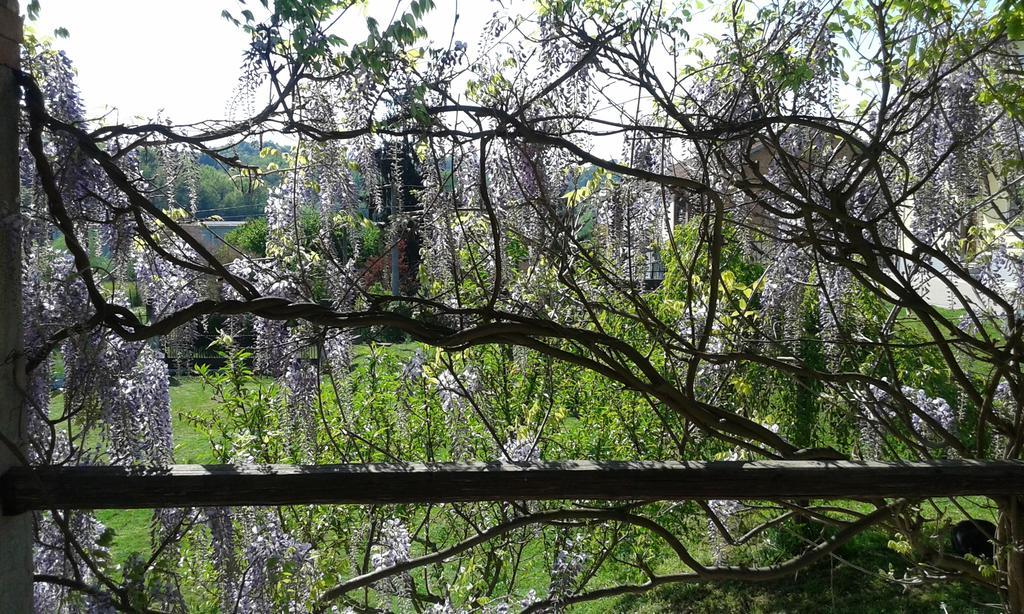 B&B La Coccarda CastellʼAlfero Zewnętrze zdjęcie